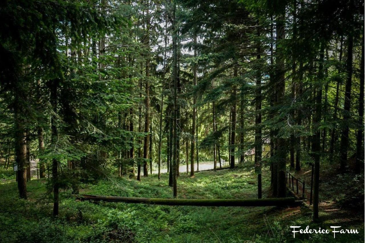 Camping Grondola - Federicofarm Понтремоли Экстерьер фото