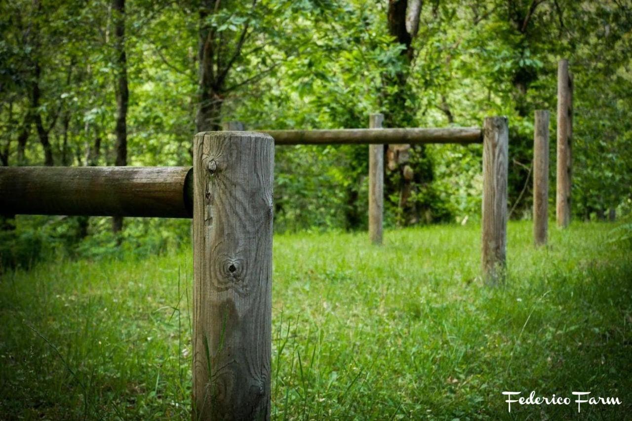 Camping Grondola - Federicofarm Понтремоли Экстерьер фото